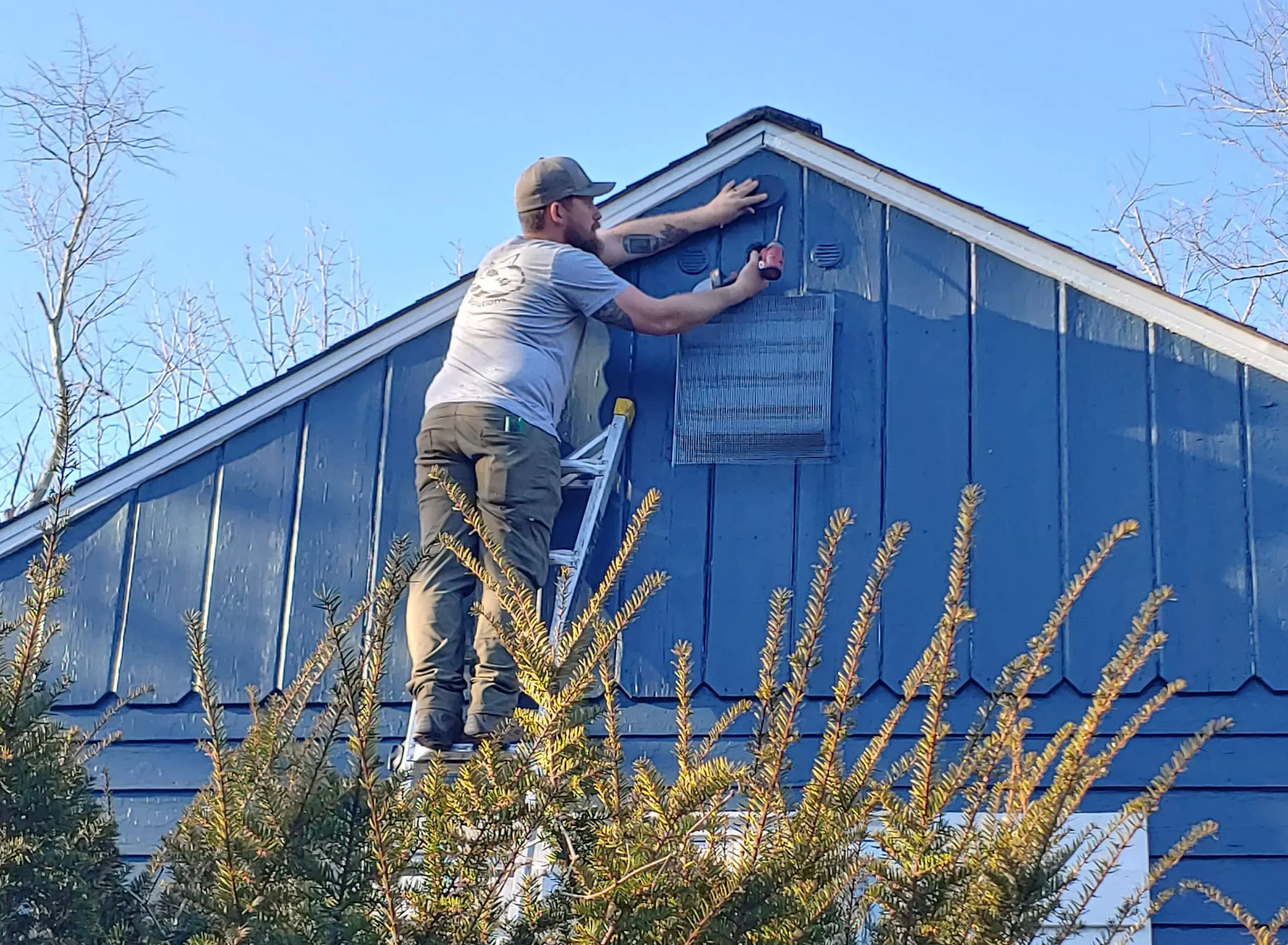 Technician performing wildlife exclusion on ladder